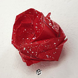 Rose Rouge