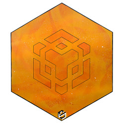 BNB Bnb Chain Binance