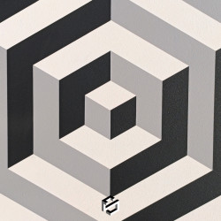 Perspective Hypnotique