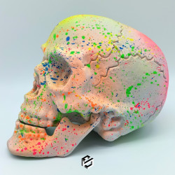 ColorSkull