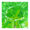 Verdure en Mouvement 2